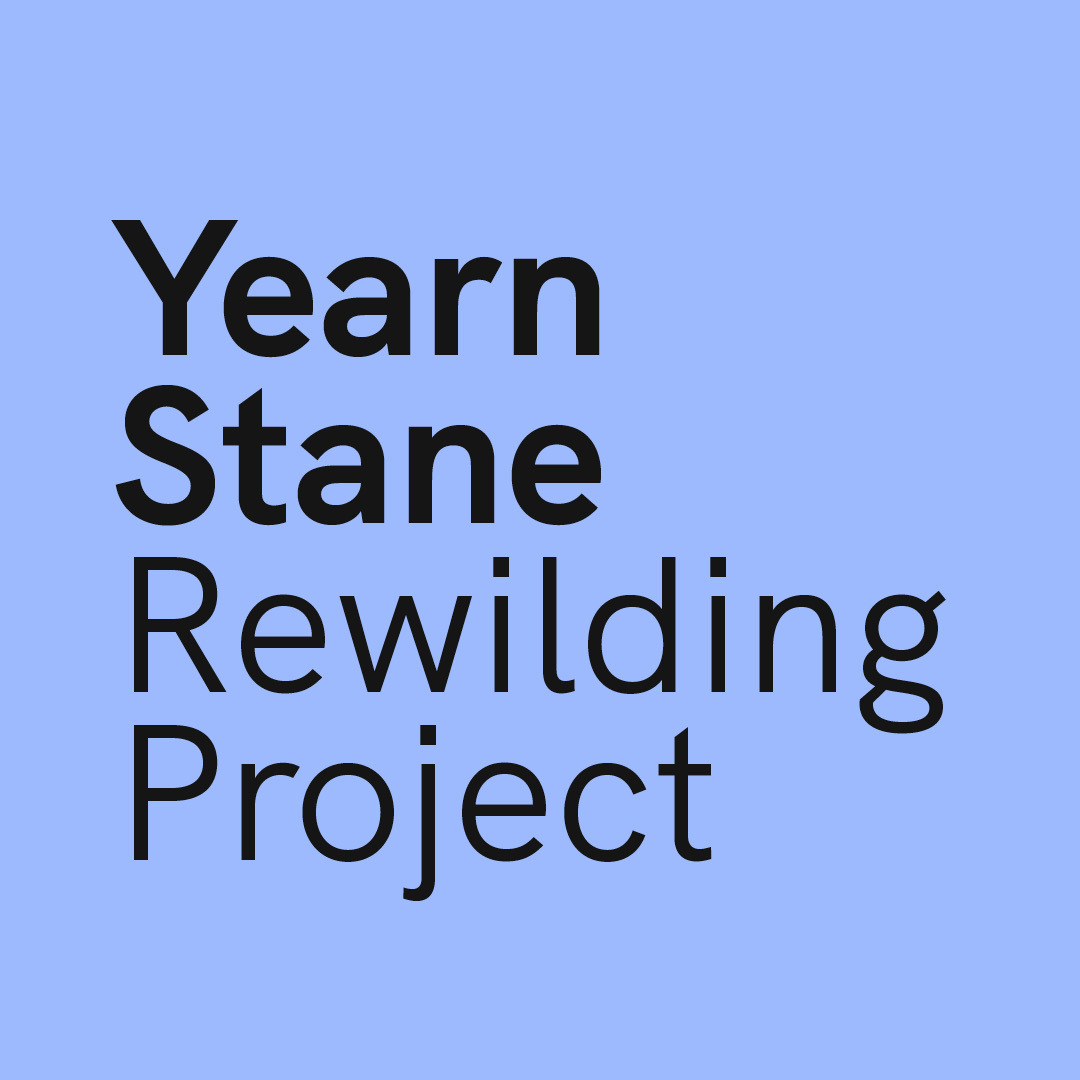 Yearn-Stane-01