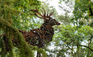 The Brodick Stag