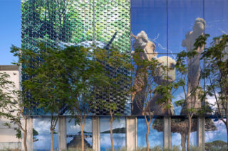 Expo2020 Look Pav Signage Camels