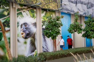 Expo2020 Look Pav Signage Monkey