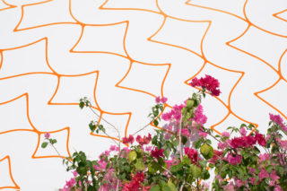 Expo2020 Look Thematic Pattern