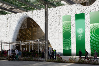 Expo2020 Look Thematic Walls