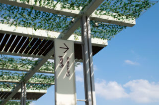 Expo 2020 Dubai White Coutry Sign