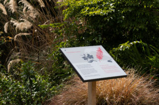 Brodick Castle 09 02