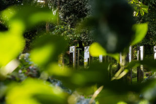 Brodick Castle 11 01