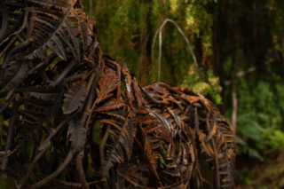 Brodick Castle 12 01