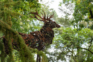 Brodick Castle 12 04