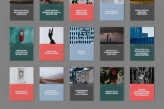 Common Weal Report Set