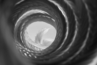 DJCAD-Degree Show-Art